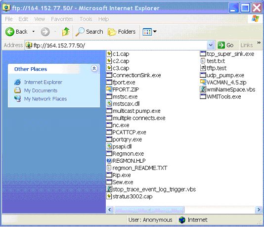 figure 5 Internet Explorer displaying a Windows based FTP site should be here